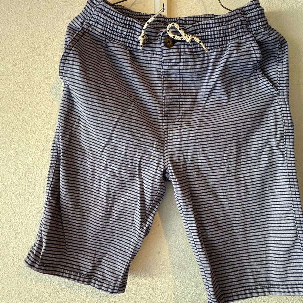 Arizona  Navy Striped Shorts